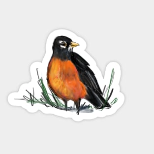 American Robin Sticker